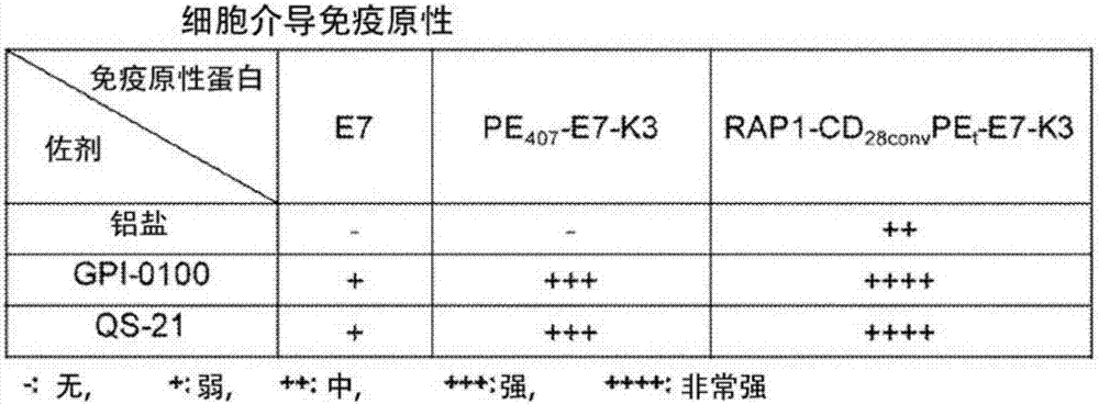 A vaccine composition comprising an immunogenic protein and combination adjuvants for use in eliciting antigen-specific t-cell responses