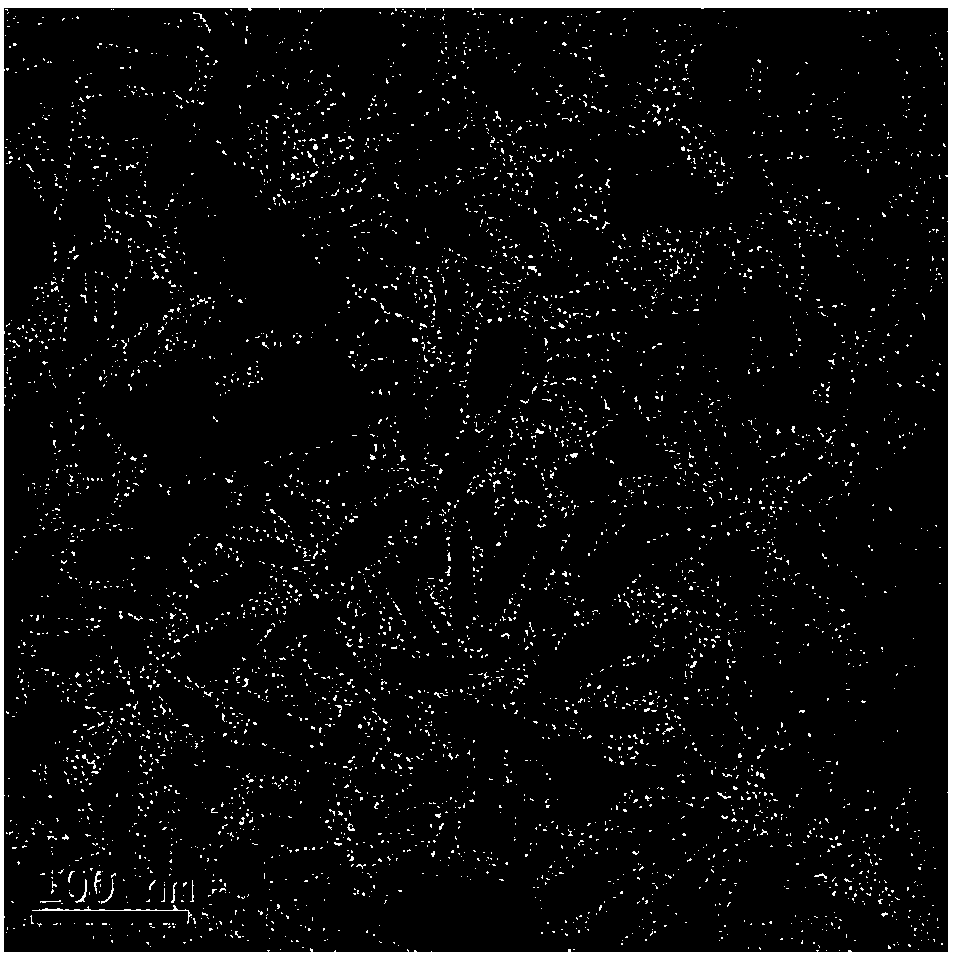 Method for preparing oil-soluble hydroxyapatite nanometer particles based on nonaqueous system