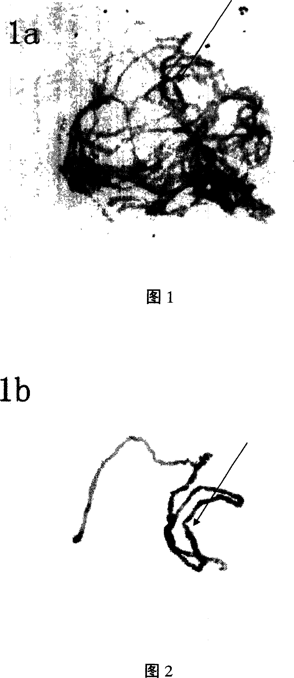 Cotton pachytene chromosome fluorescence in-situ hybridization method