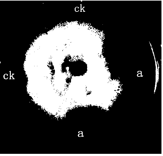 Method for extracting DEHP (di(2-ethylhexyl)phthalate) from fermentation product of ocean paenibacillus polymyxa L1-9 and application