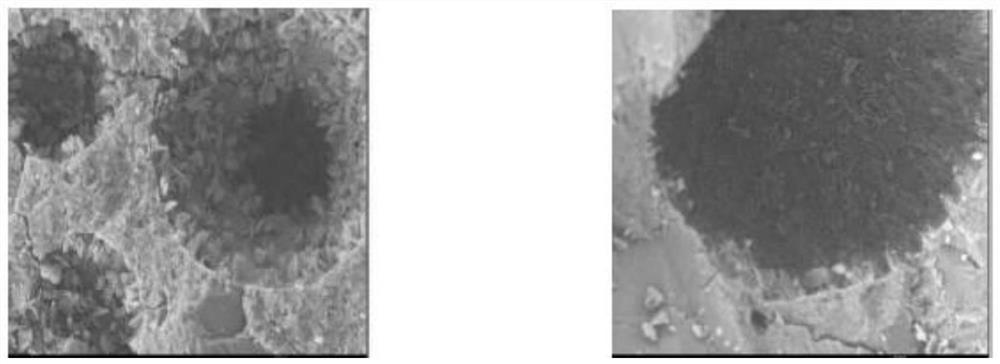 Inactivation, sterilization and high-corrosion-resistance double-fiber modified repair mortar and preparation method thereof