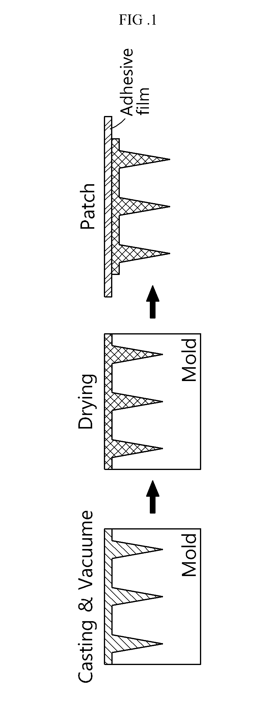 Soluble microneedle for delivering proteins or peptides