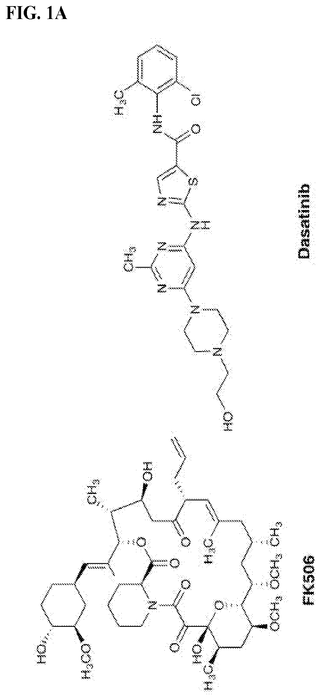 Immunophilin-dependent inhibitors and uses thereof