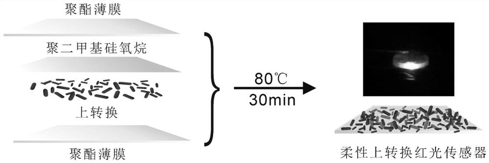 A flexible up-conversion red light sensor for living body and its preparation method