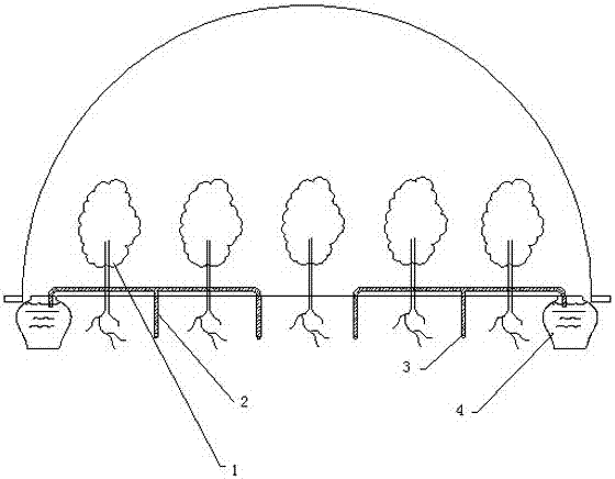 A capillary tube, an irrigation system using the capillary tube for water delivery, and a warehouse dehumidification device using the capillary tube