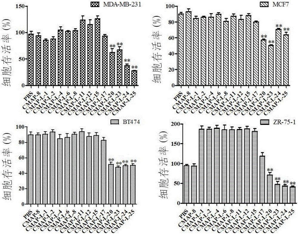 Anticancer peptide as well as preparation method and application thereof