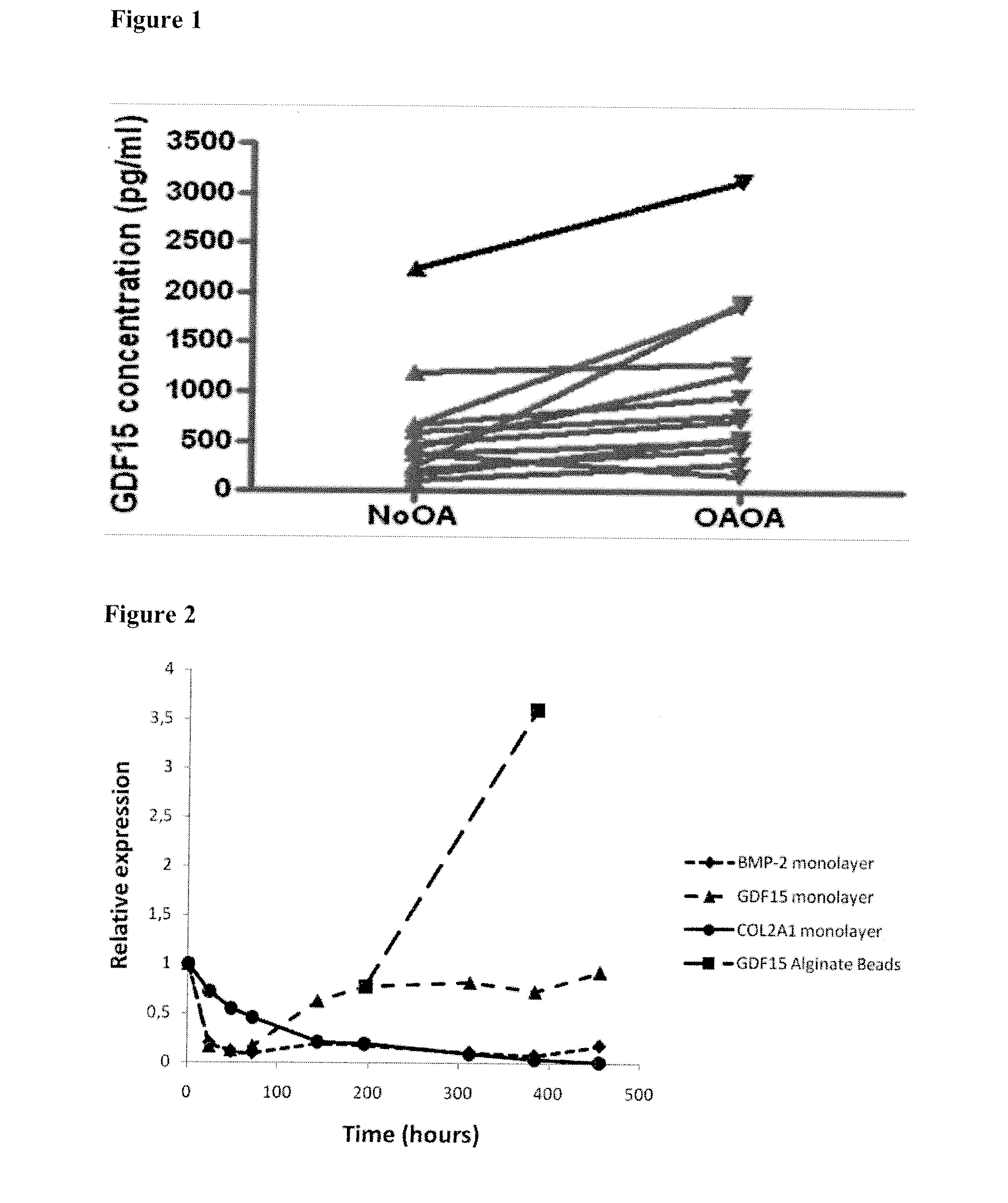 Gdf15 as molecular tool to monitor and enhance phenotypic stability of articular chondrocytes