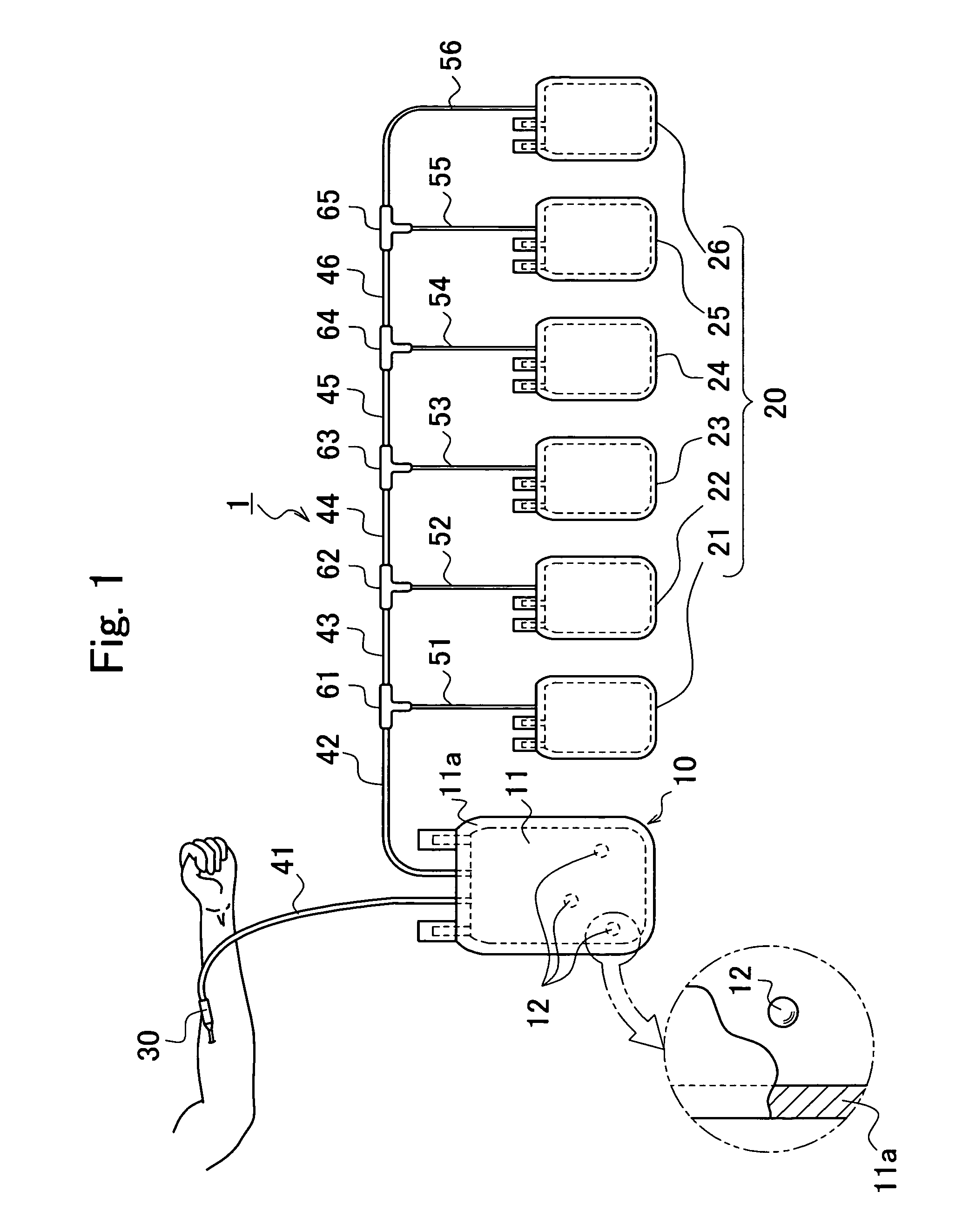 Container for preparing serum and regenerative medical process using the same