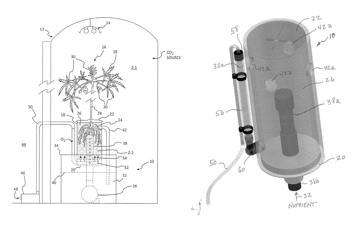 Root environment control system and method