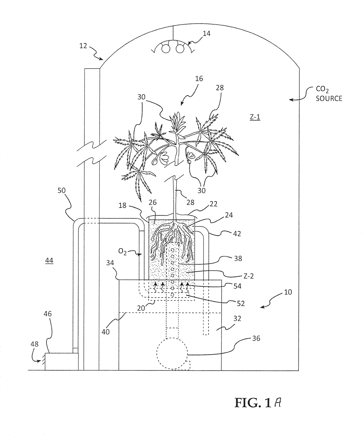 Root environment control system and method