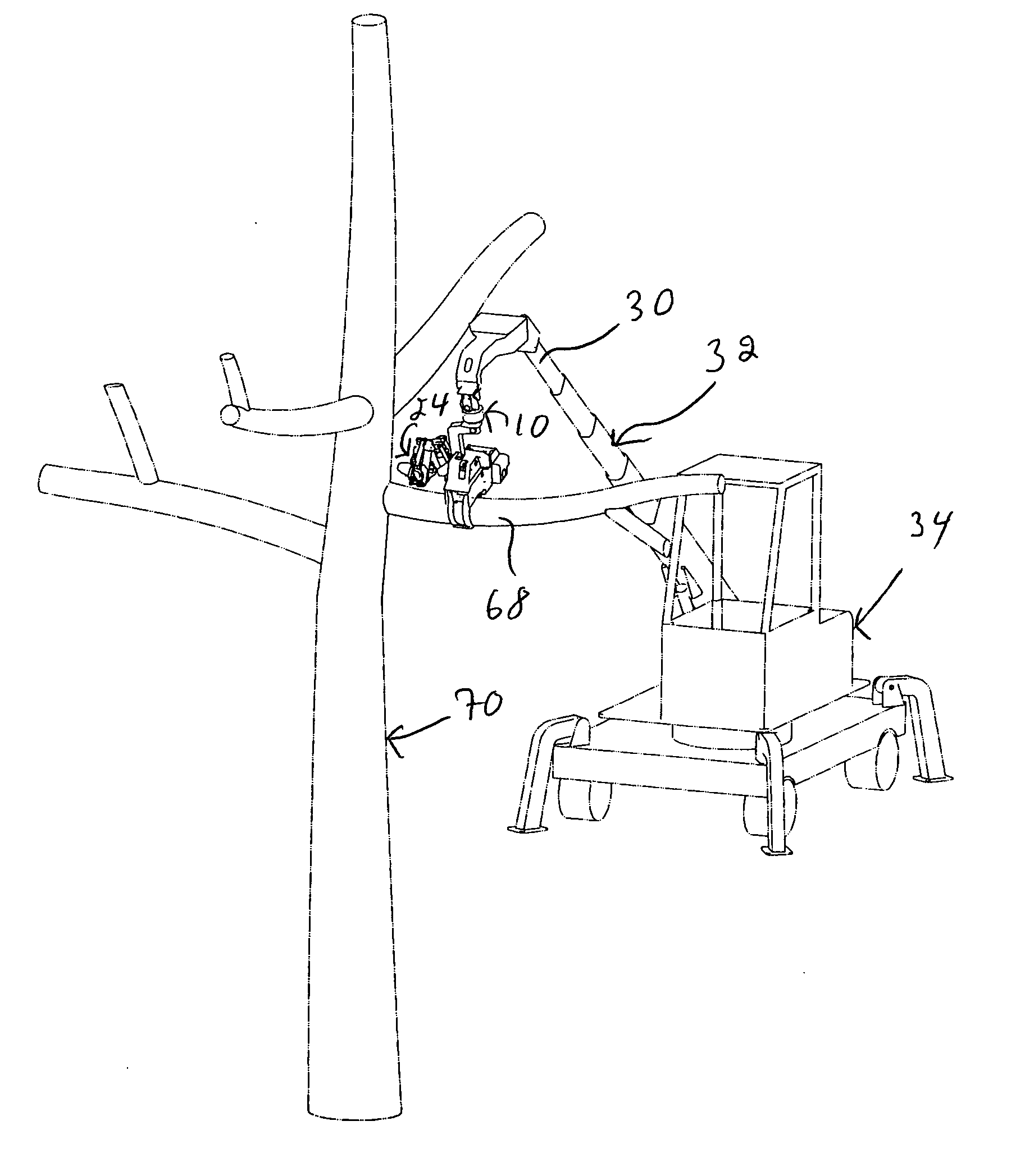 Tree pruning and trimming head