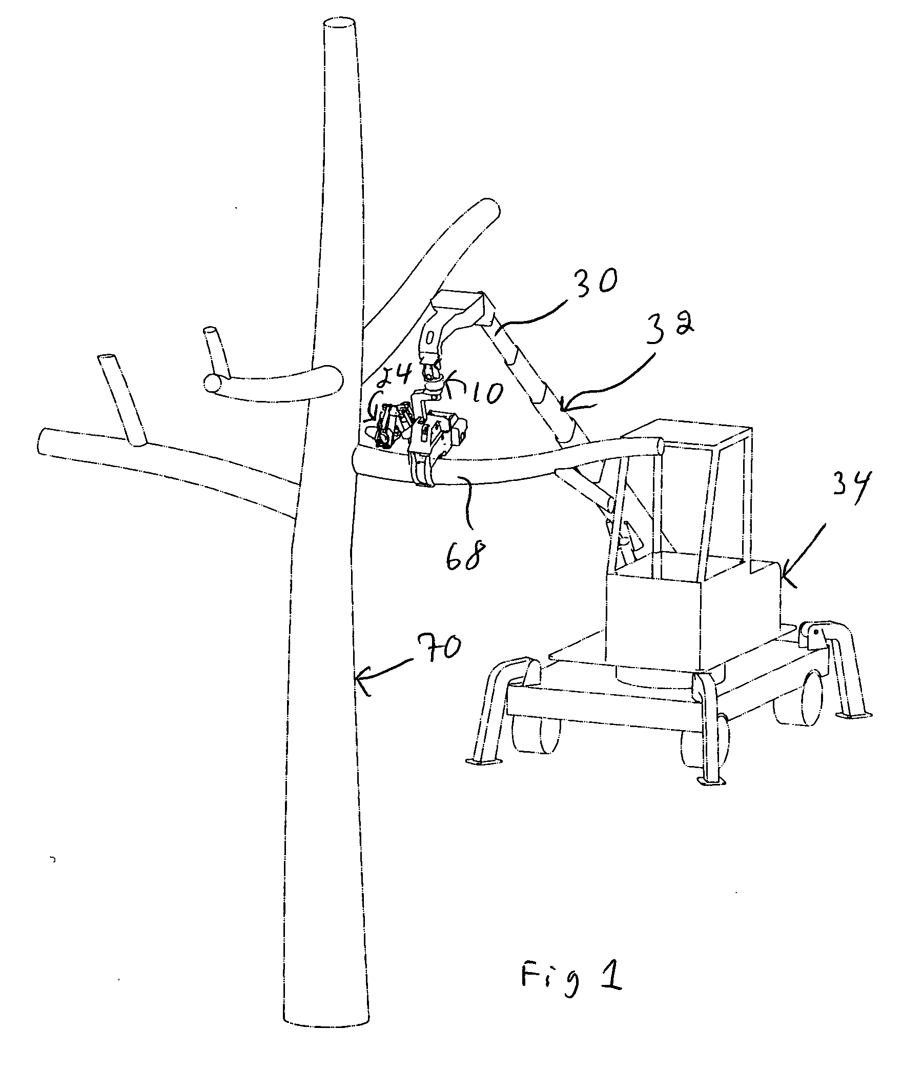 Tree pruning and trimming head