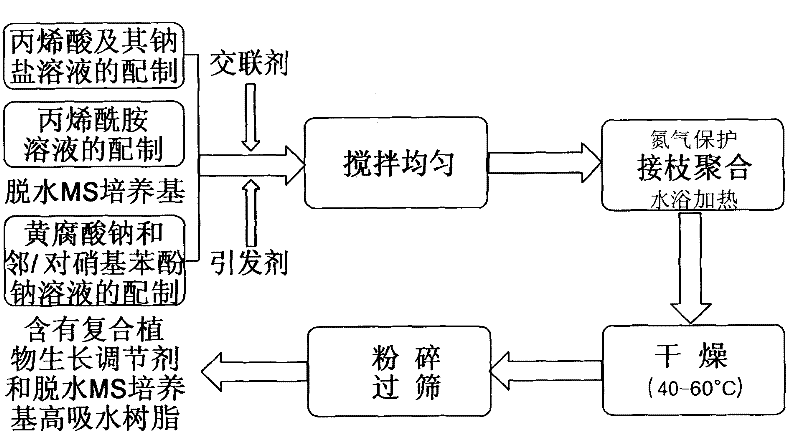 Method for preparing super absorbent resin containing composite plant growth regulator and dehydrated Murashige and Skoog's (MS) culture medium