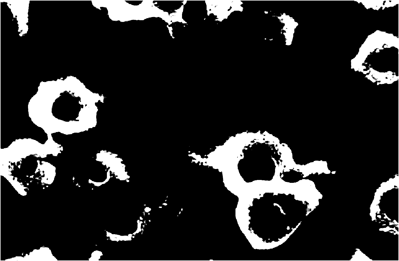 Preparation method of titanium alloy micro-arc oxide coating