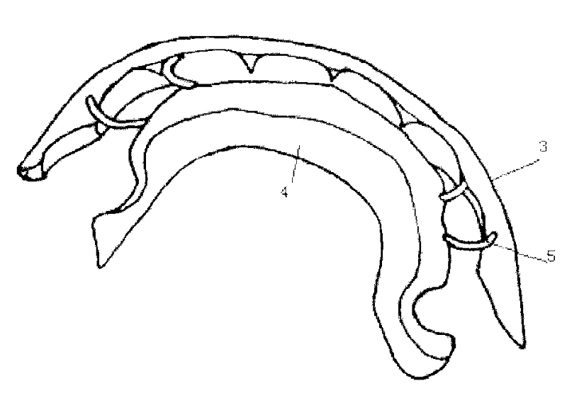 Combined tooth correcting device