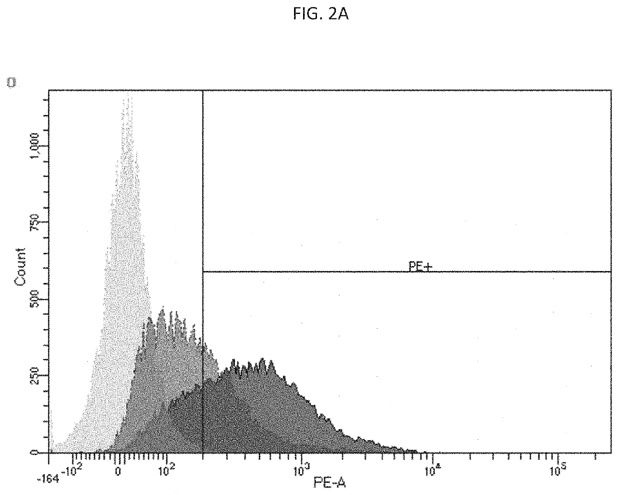 Oncolytic adenoviral vector and methods of use