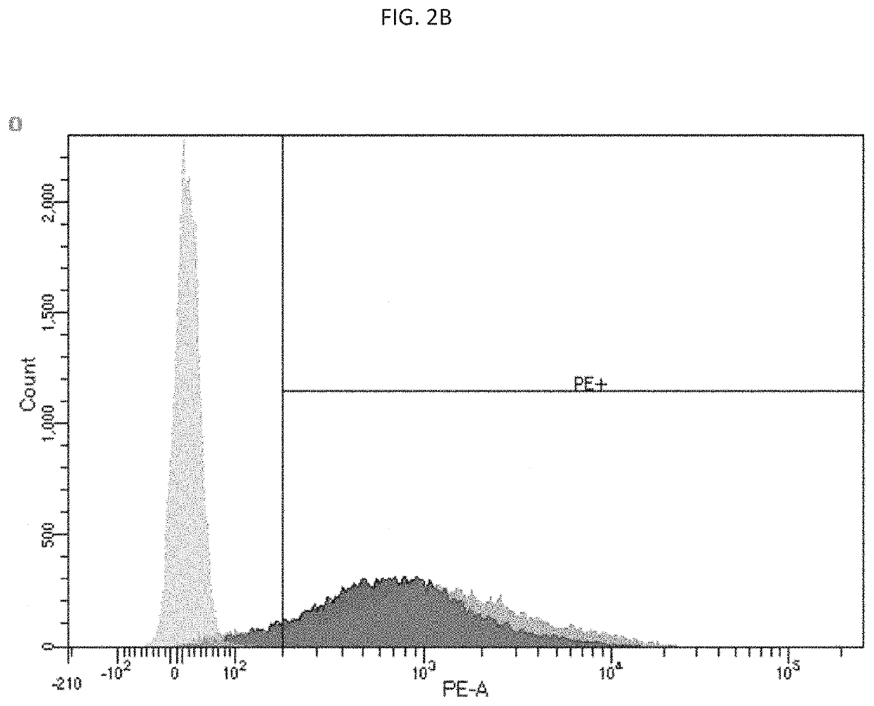 Oncolytic adenoviral vector and methods of use