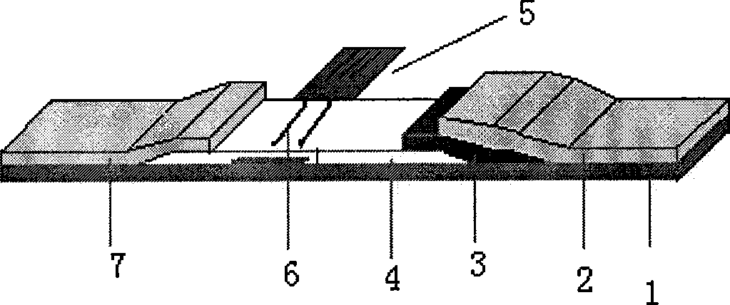 Electrochemical sidestream immune quantitative test paper sensor based on microgap array electrode and method thereof for detecting biotoxin