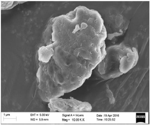 Synthesis method of bagasse xylan gallic acid trimesic acid diesterified derivative