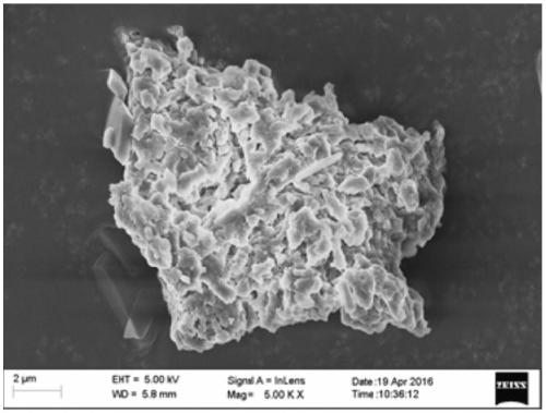 Synthesis method of bagasse xylan gallic acid trimesic acid diesterified derivative