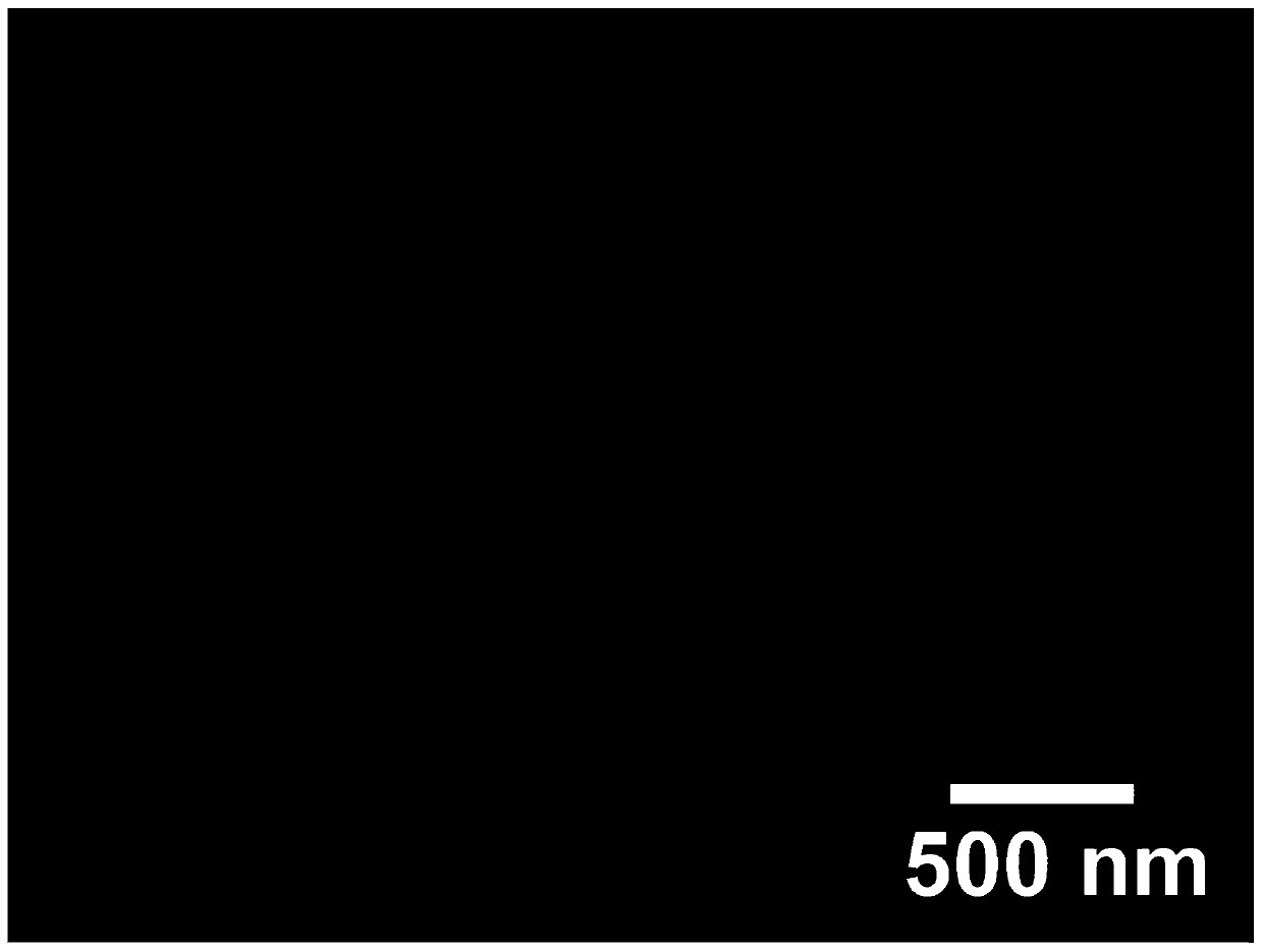 Graphite nanosheet conductive ink as well as preparation method and application thereof