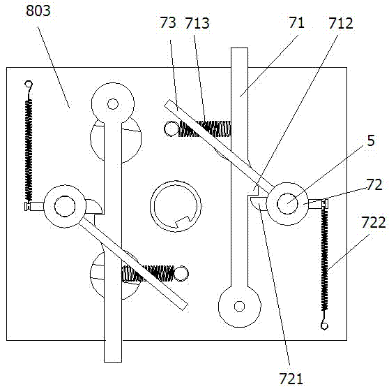 Capsule production line