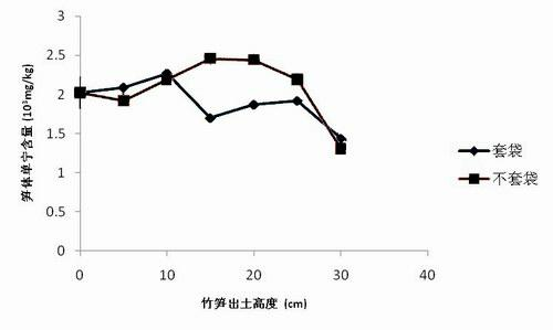 Culture method for improving quality of bamboo shoot