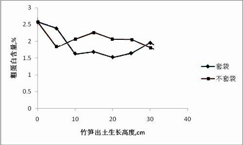 Culture method for improving quality of bamboo shoot