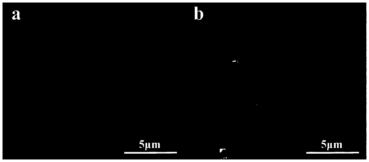 Preparation method of polydopamine modified carbon fiber/mullite whisker reinforced resin-based friction material