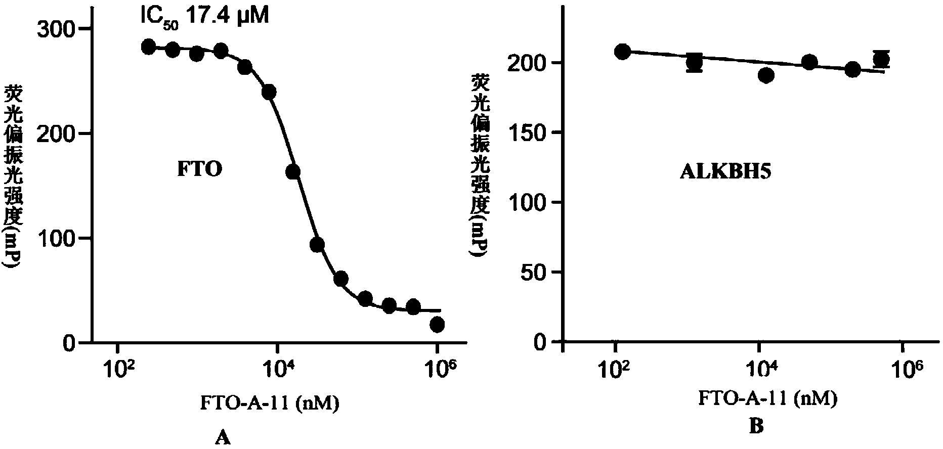 Use of 2-(substituted phenylamino) benzoic acid and ester compound thereof in preparation of FTO (Fat Mass and Obesity-Associated Protein) inhibitor