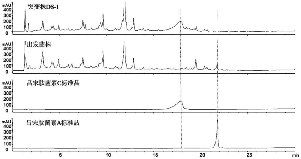 Preparation method of lvsong peptide rhzomorph C