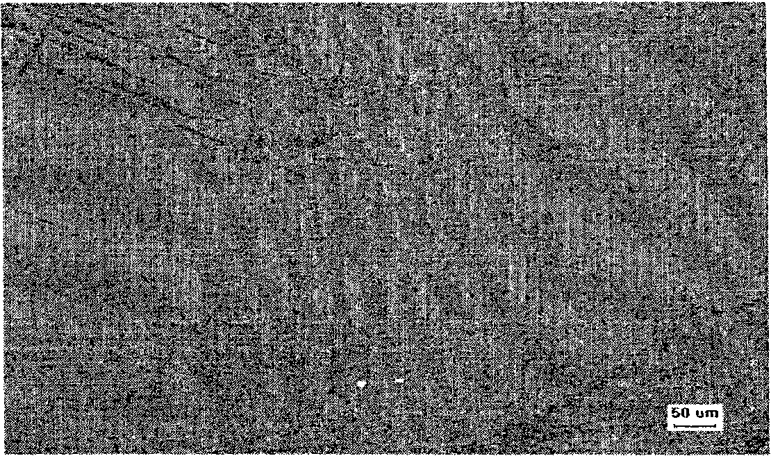 Implants comprising biodegradable metals and method for manufacturing the same