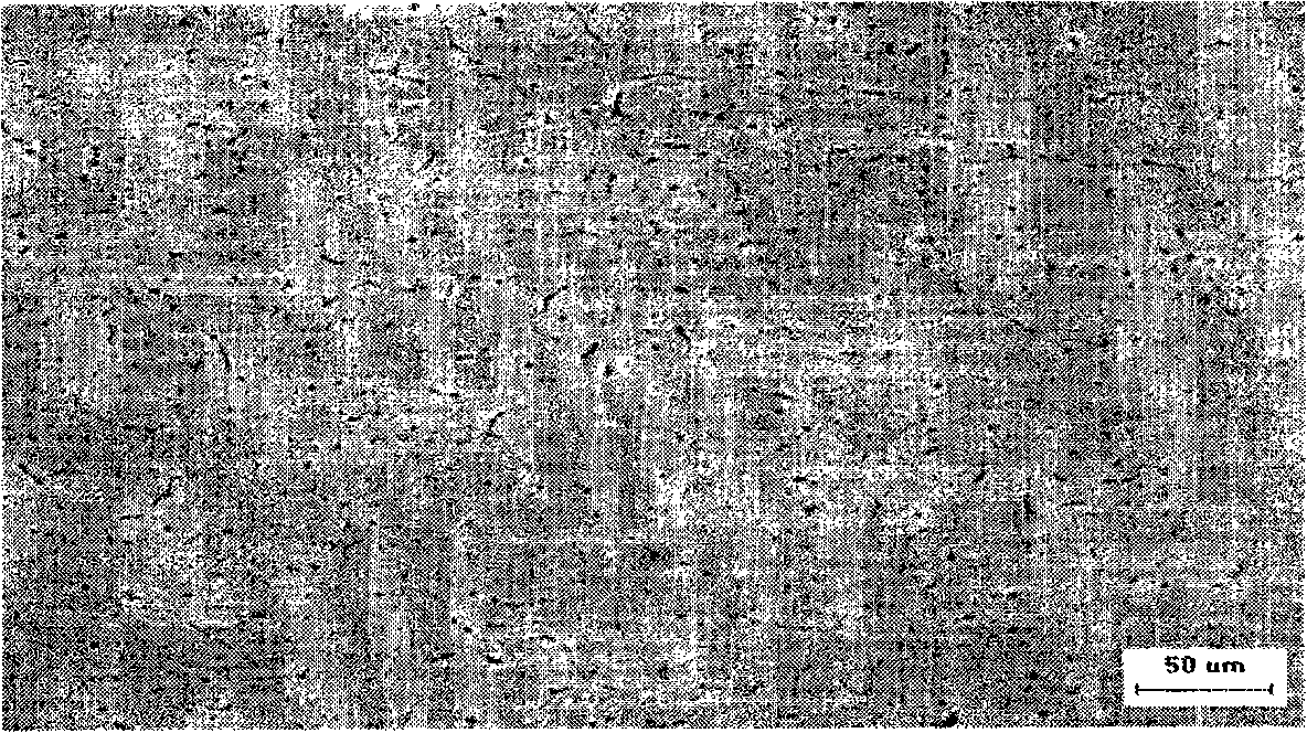 Implants comprising biodegradable metals and method for manufacturing the same