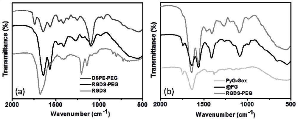 A preparation method and application of tumor catalytic nano -reaction system with targeted tumor function