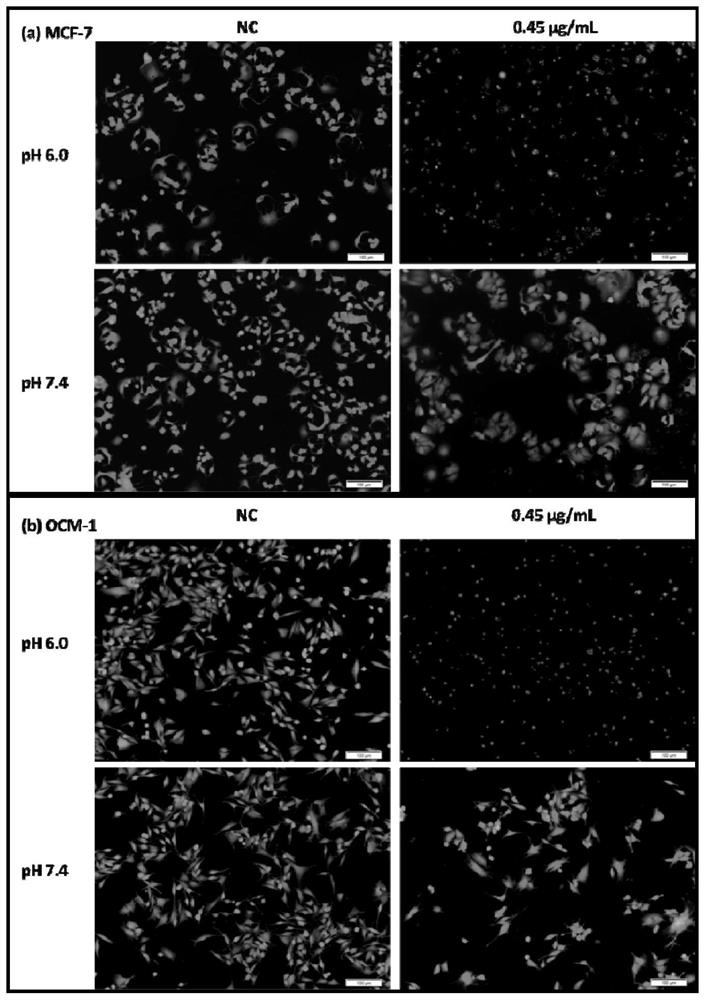 A preparation method and application of tumor catalytic nano -reaction system with targeted tumor function