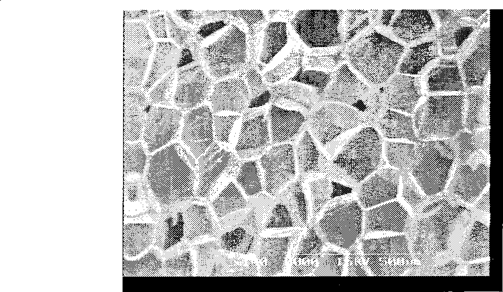 Method for preparing poly hexane diacid-terephthalic acid-butylene terephthalate foaming material