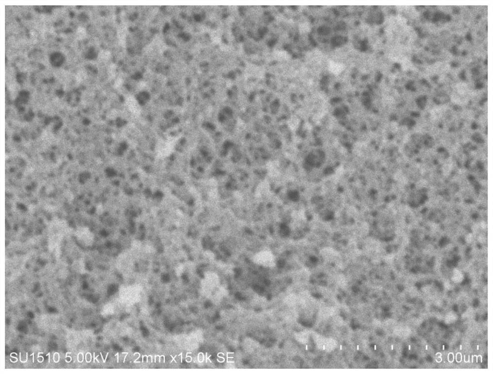 A phenylboronic acid-based polymer carrier and its application for selective adsorption of carbohydrates