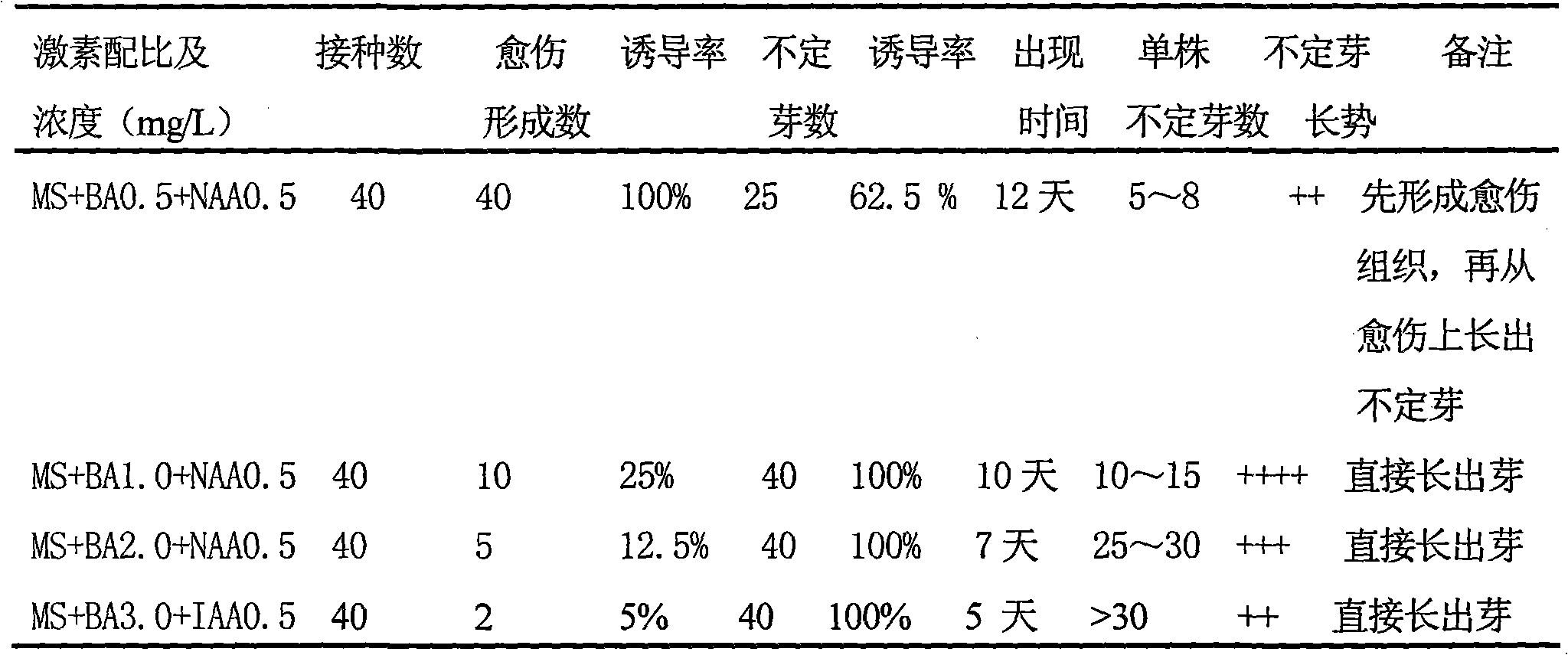 Scutellaria teniana Hand tissue culture method