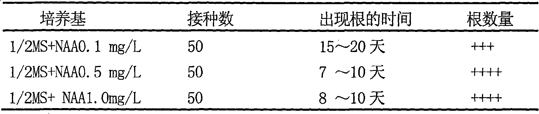 Scutellaria teniana Hand tissue culture method