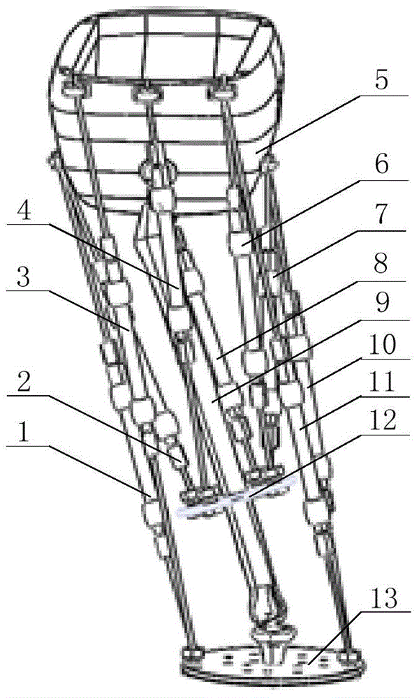 Simulated human lower limb on basis of pneumatic muscles