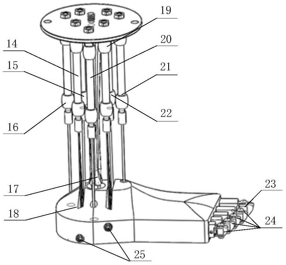 Simulated human lower limb on basis of pneumatic muscles