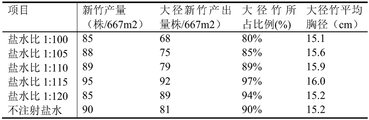 Method for cultivating large-diameter bamboo