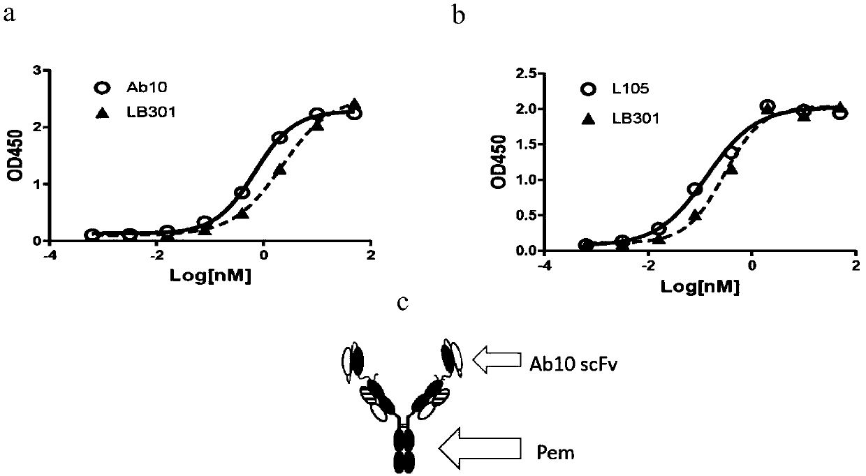 Bispecific antibody capable of targeting CLDN18.2, and preparation method and applications of bispecific antibody