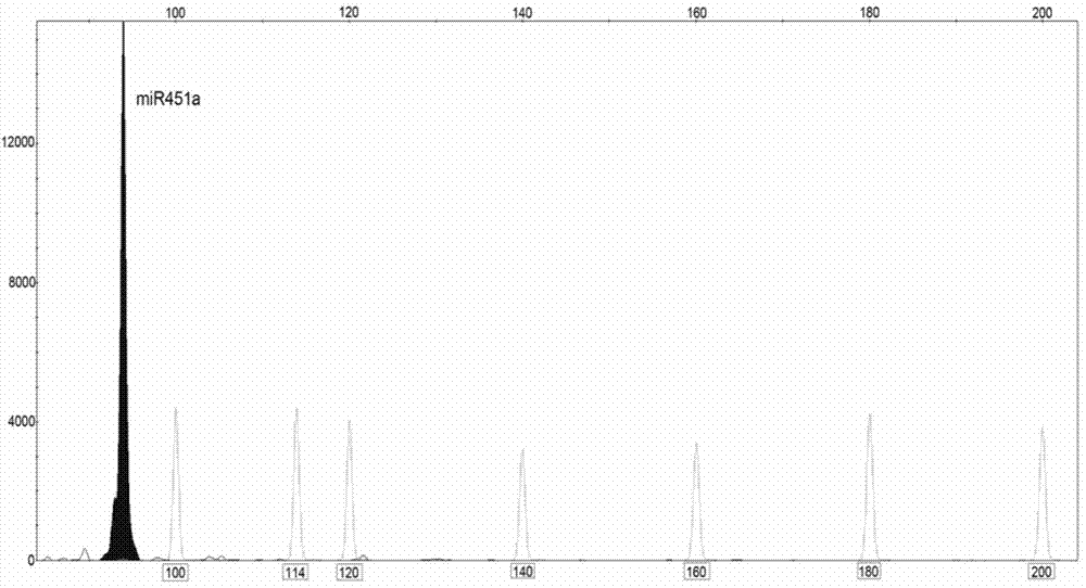 Method for designing primers for compositely detecting multiple microRNAs