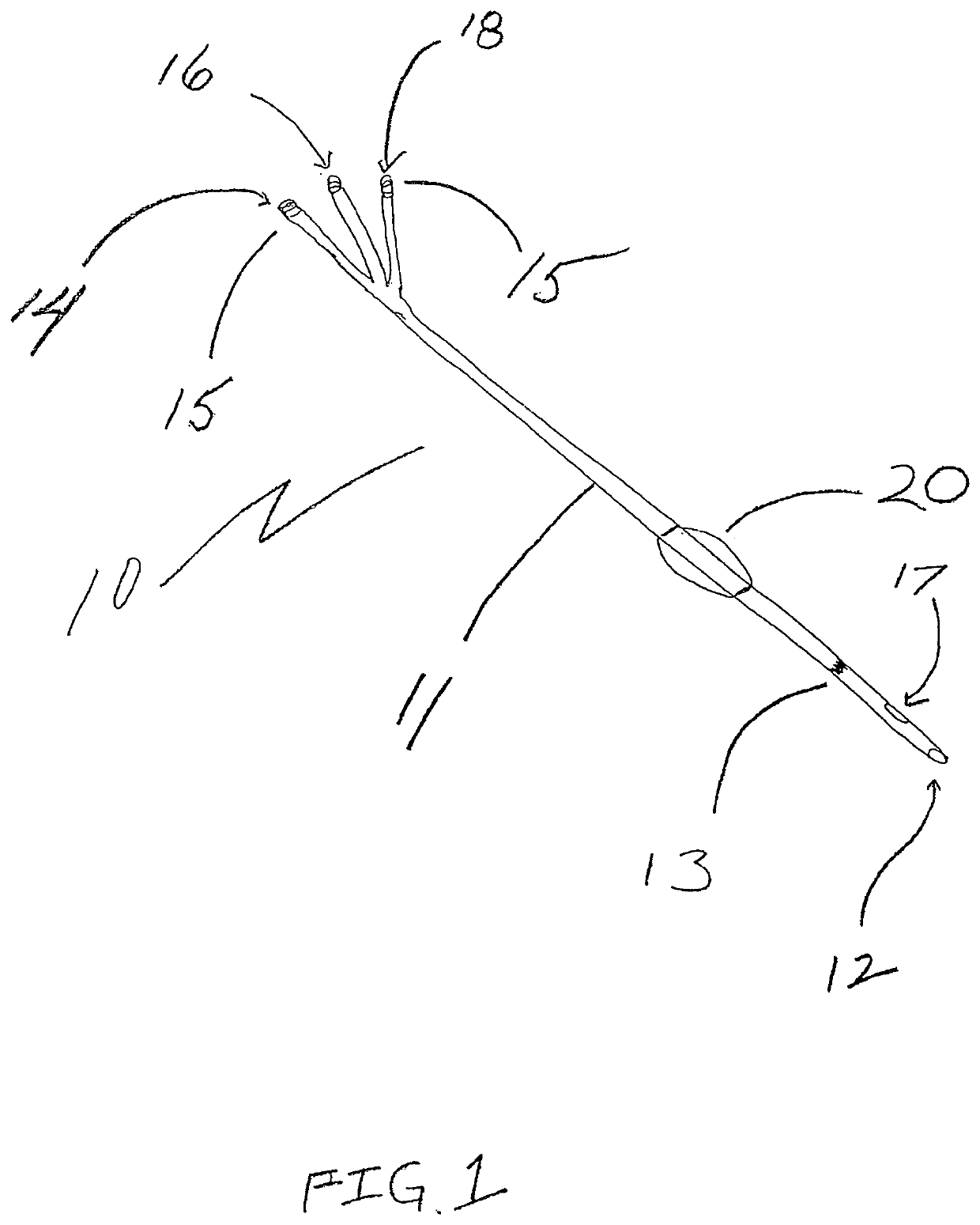 Dual lumen microcatheter