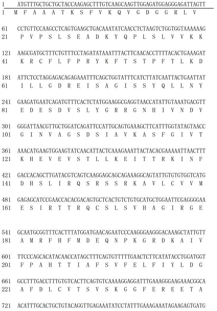 Kit for detecting PJVK gene c.887G&gt;A mutation