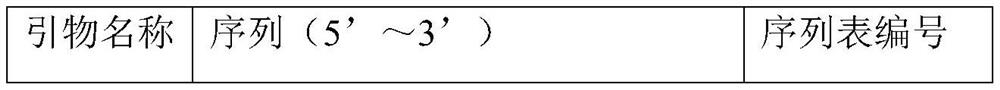 A kind of SNP molecular marker related to the background color of watermelon peel and its application