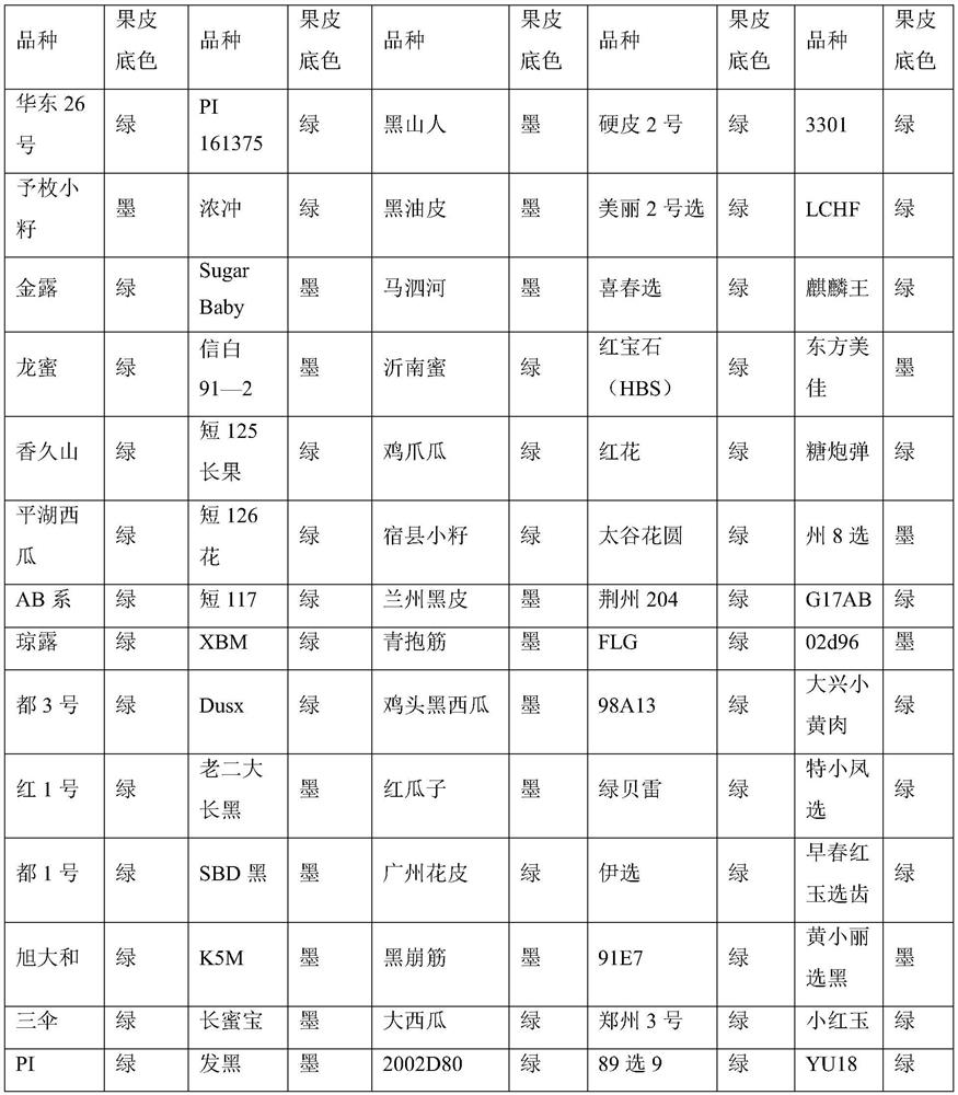 A kind of SNP molecular marker related to the background color of watermelon peel and its application