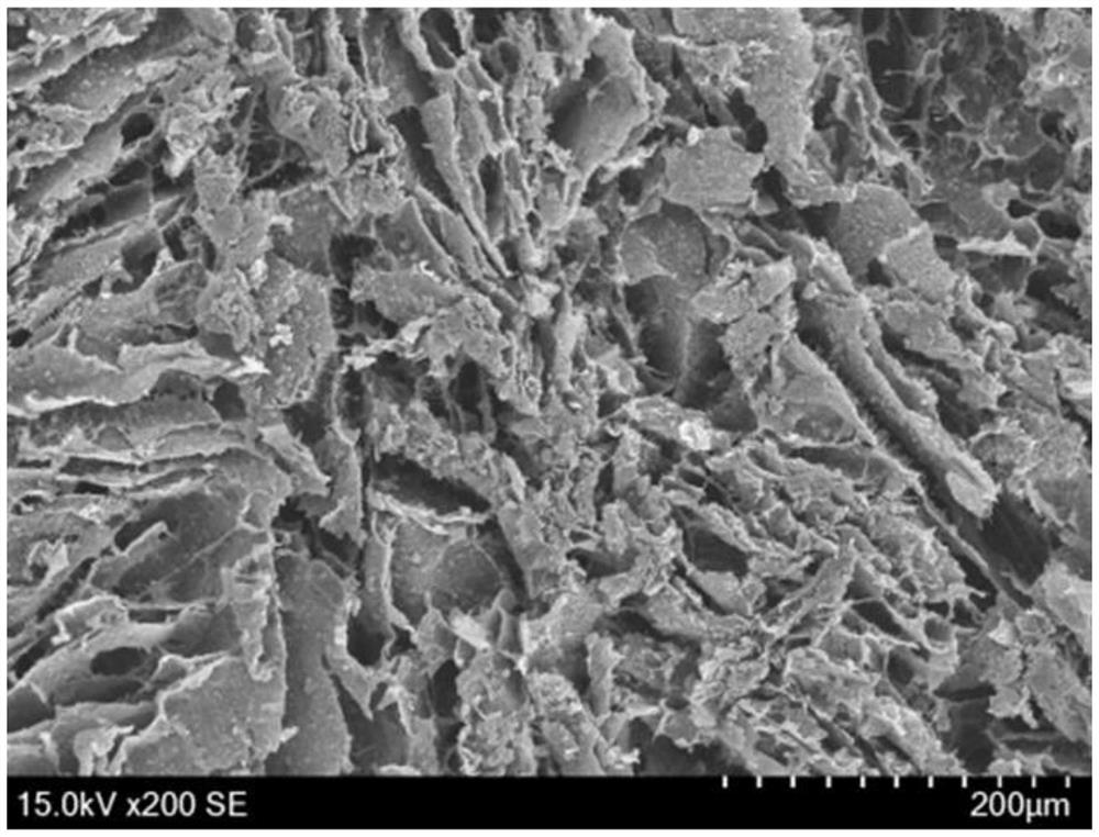 Bone scaffold material for drug loading and preparation method thereof, functional hybrid bone scaffold and preparation method of functional hybrid bone scaffold