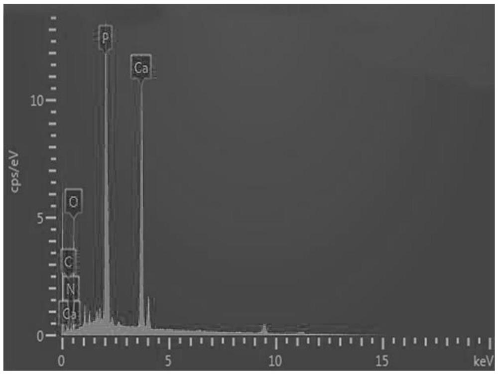 Bone scaffold material for drug loading and preparation method thereof, functional hybrid bone scaffold and preparation method of functional hybrid bone scaffold